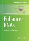 Enhancer RNAs