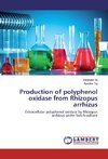 Production of polyphenol oxidase from Rhizopus arrhizus