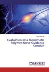 Evaluation of a Biomimetic Polymer Nerve Guidance Conduit