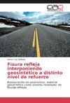 Fisura refleja interponiendo geosintético a distinto nivel de refuerzo