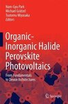 Organic-Inorganic Halide Perovskite Photovoltaics