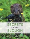 Secrets of the Slough