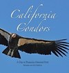 California Condors