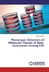 Phenotypic Detection of Molecular Classes of beta-lactamases among CRE