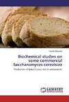 Biochemical studies on some commercial Saccharomyces cerevisiae