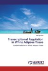 Transcriptional Regulation in White Adipose Tissue