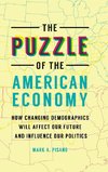 The Puzzle of the American Economy