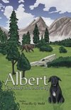 Albert, The Story of a Lost Dog