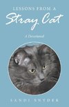 Lessons from a Stray Cat