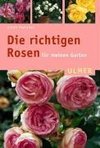 Haenchen, E: Richtigen Rosen