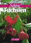 Fuchsien für Balkon und Terrasse