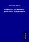 Die Reptilien und Amphibien Deutschlands in Wort und Bild