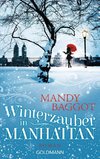 Winterzauber in Manhattan