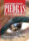 Piedras en las papeleras