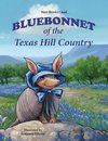 Bluebonnet of the Texas Hill Country