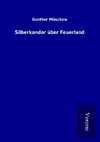 Silberkondor über Feuerland