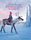 Ein wunderbarer Weihnachtswunsch