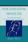 Anne Joan Levine, Private Eye