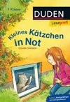 Leseprofi - Kleines Kätzchen in Not, 1. Klasse