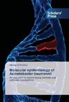 Molecular epidemiology of Acinetobacter baumannii