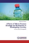 Effects of Micro Finance Strategy on Businesses in Developing Country