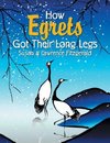 How Egrets Got Their Long Legs