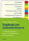 Zugänge zur Literaturtheorie. 17 Modellanalysen zu E.T.A. Hoffmanns »Der Sandmann«