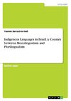 Indigenous Languages in Brazil. A Country between Monolingualism and Plurilingualism