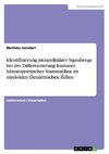 Identifizierung intrazellulärer Signalwege bei der Differenzierung humaner hämatopoetischer Stammzellen zu myeloiden Dendritischen Zellen