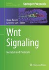 Wnt Signaling