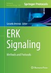 ERK Signaling