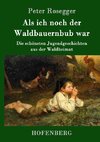 Als ich noch der Waldbauernbub war