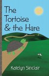 The Tortoise & the Hare