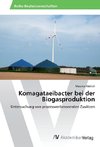 Komagataeibacter bei der Biogasproduktion