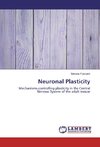 Neuronal Plasticity