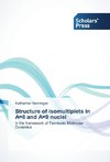 Structure of isomultiplets in A=8 and A=9 nuclei