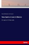 New Spain or Love in Mexico