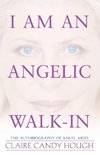 I Am an Angelic Walk-In