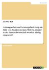 Leistungserhalt und Leistungsförderung mit Hilfe von Anreizsystemen. Welche Anreize in der Personalwirtschaft werden häufig eingesetzt?