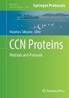 CCN Proteins