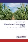 Maize based intercropping system