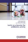 Lectin as a booster for antibiotics activity