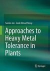 APPROACHES TO HEAVY METAL TOLE