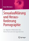 Sexualaufklärung und Herausforderung Pornographie