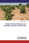 Begomovirus Diseases on Jatropha species from India