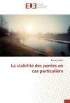 La stabilité des pentes en cas particulière