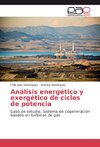 Análisis energético y exergético de ciclos de potencia