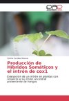 Producción de Híbridos Somáticos y el intrón de cox1