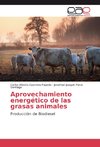 Aprovechamiento energético de las grasas animales