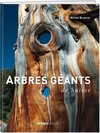 Arbres géants de Suisse